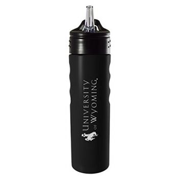 24 oz Stainless Steel Sports Water Bottle - Wyoming Cowboys