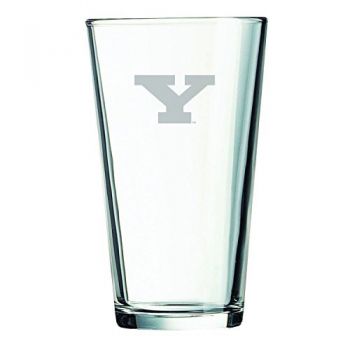 16 oz Pint Glass  - Youngstown State Penguins