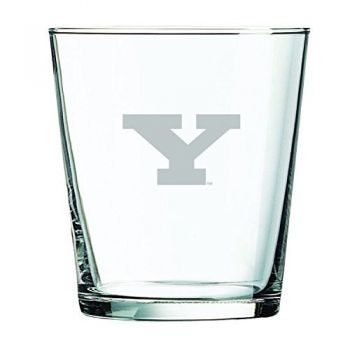 13 oz Cocktail Glass - Youngstown State Penguins