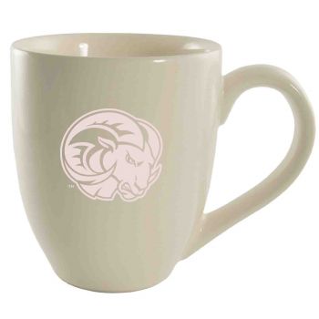 16 oz Ceramic Coffee Mug with Handle - Winston-Salem State University 
