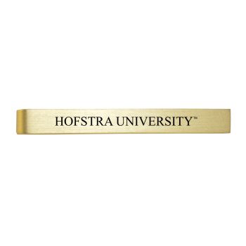 Brushed Steel Tie Clip - Hofstra University Pride