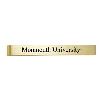 Brushed Steel Tie Clip - Monmouth Hawks